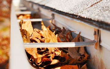Padside gutter cleaning companies