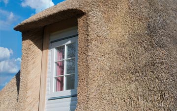 Padside thatch roof disadvantages